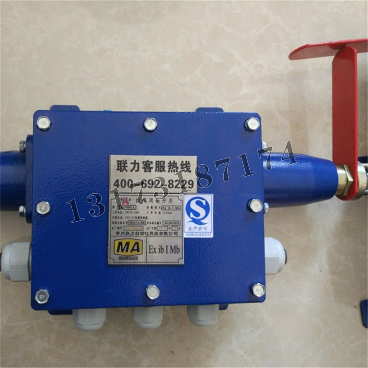 常州聯(lián)力KG9001A-D-Z-C2拉繩閉鎖開關-2.jpg