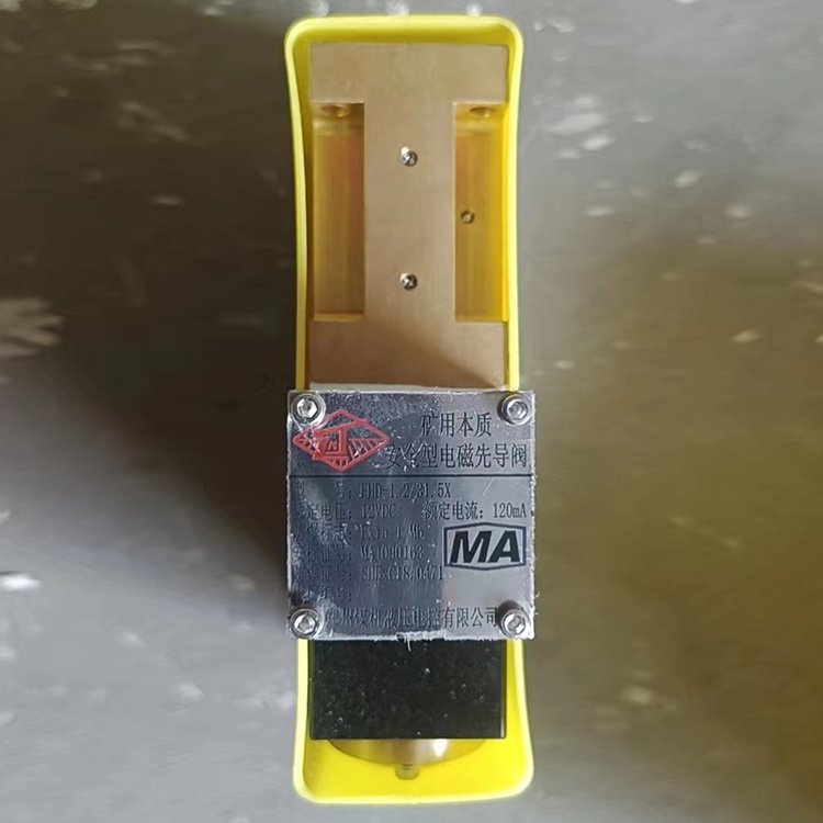 鄭州煤機(jī)FHD-1.2-31.5X礦用本質(zhì)**型電磁先導(dǎo)閥-反沖洗用-1.jpg